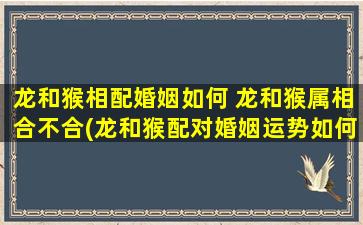 龙和猴相配婚姻如何 龙和猴属相合不合(龙和猴配对婚姻运势如何？龙和猴属相合适吗？)